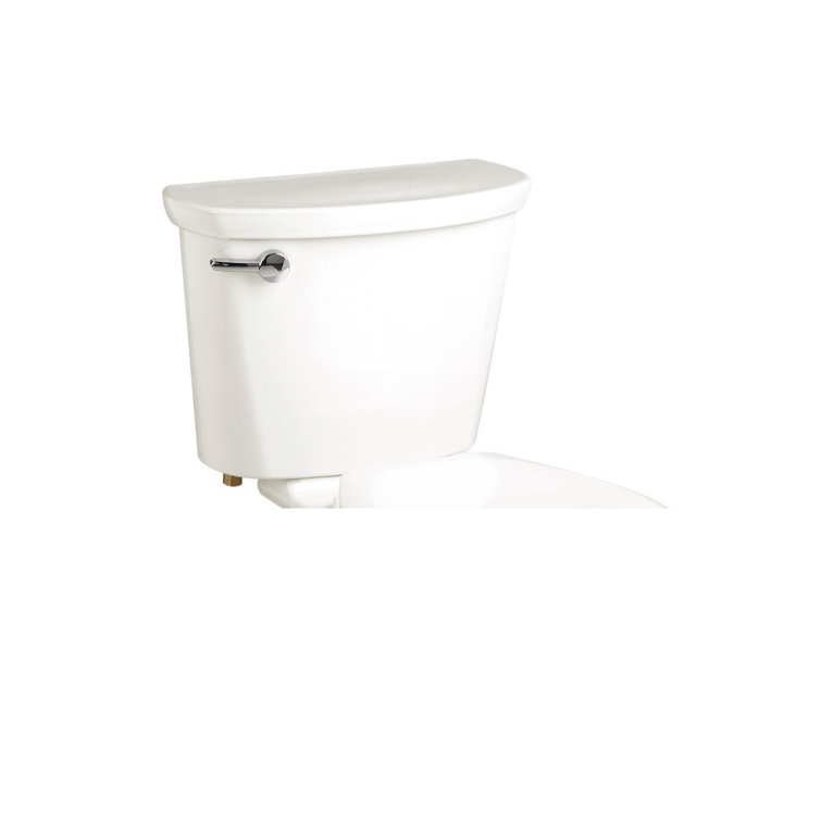 White Single Flush Toilet Tank with EverClean Surface