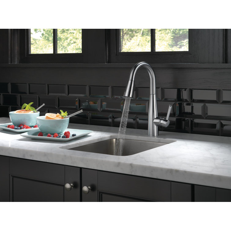 Arctic Stainless Transitional Pull-Out Spray Kitchen Faucet