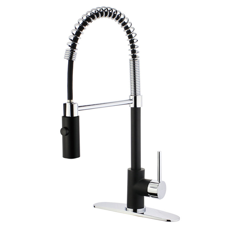 Matte Black and Chrome Single-Handle Pre-Rinse Kitchen Faucet