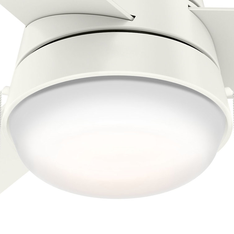36" White MDF Ceiling Fan with LED Light and Remote