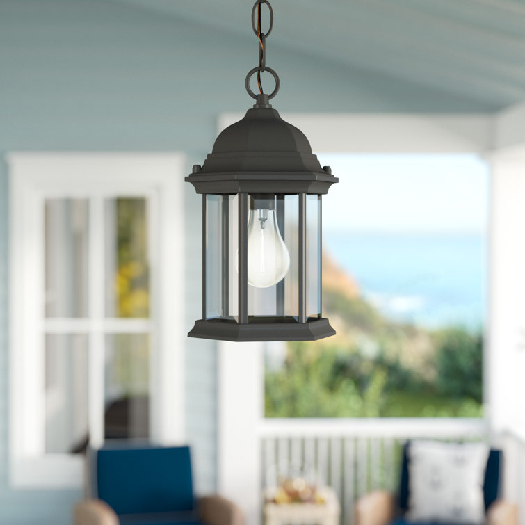 Matte Black Aluminum 1-Light Outdoor Pendant with Clear Glass