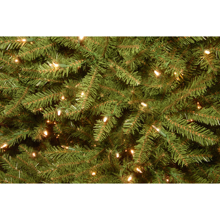 12ft Green Dunhill Fir Christmas Tree with Dual Color LED Lights