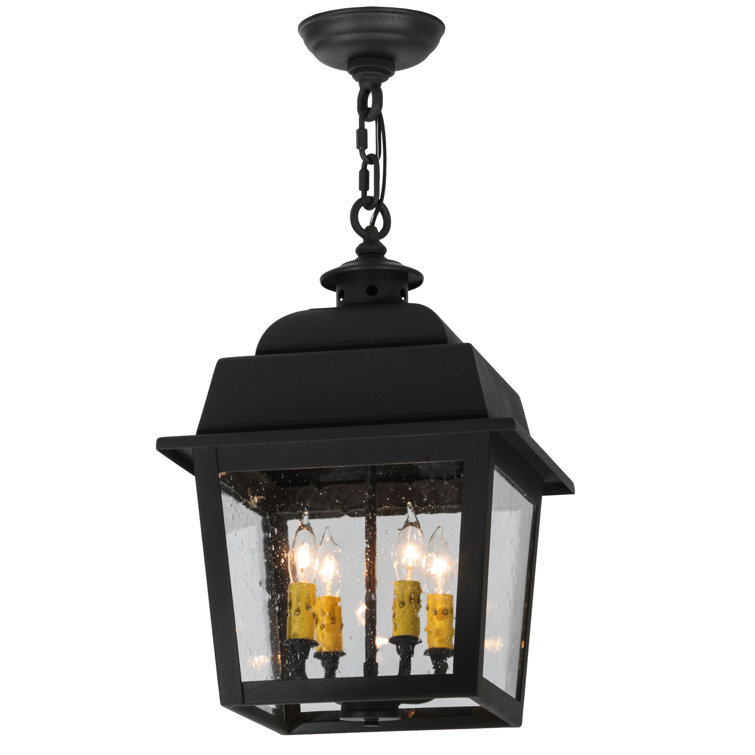 Stockwell 4-Light Globe Glass Indoor/Outdoor Chandelier