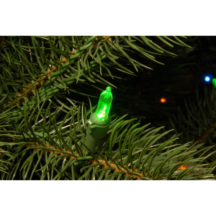 12' Green Douglas Fir Slim Artificial Christmas Tree with Dual Color LED Lights