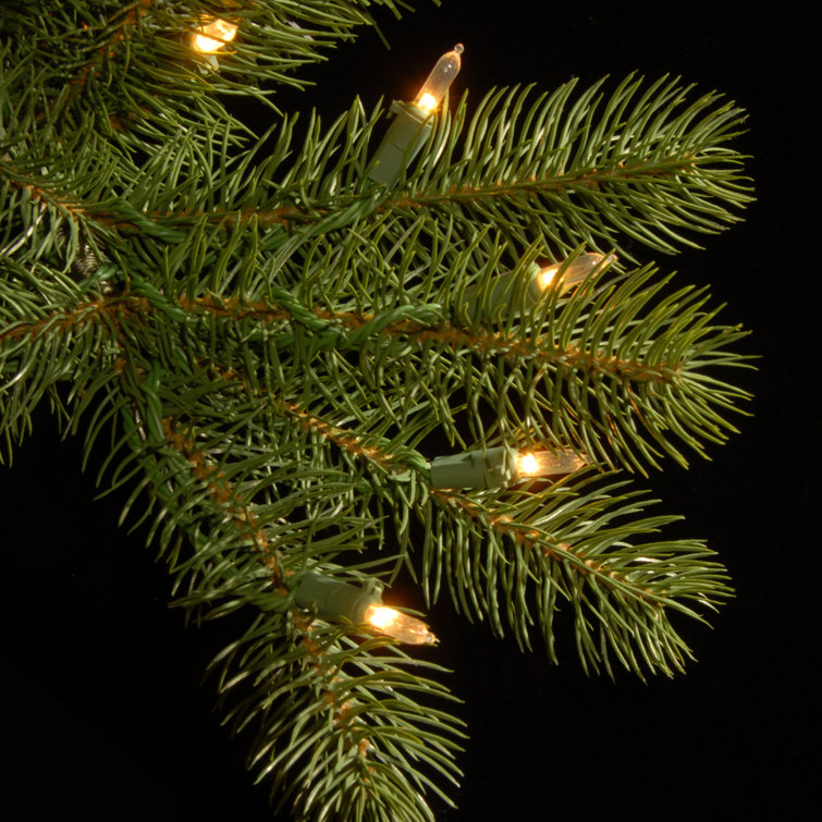 12' Green Douglas Fir Slim Artificial Christmas Tree with Dual Color LED Lights
