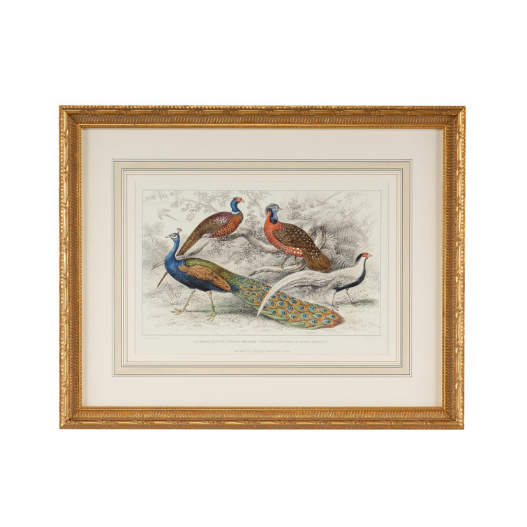 Gold Framed Landscape Graphic Art Print of Birds