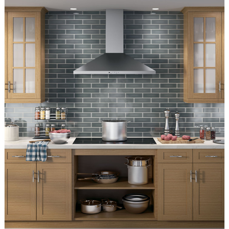 30" Stainless Steel Convertible Wall Mount Range Hood with Charcoal Filter