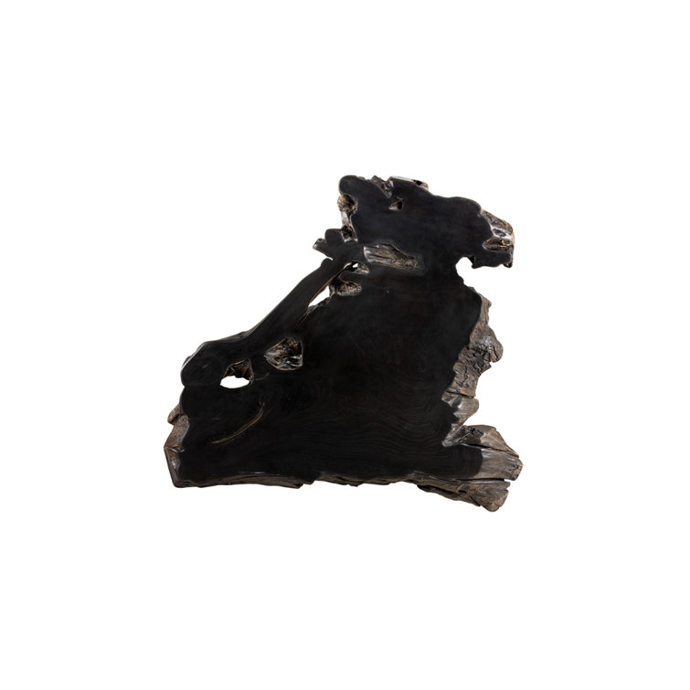 Wyatt Black Teak Root and Steel Outdoor Coffee Table