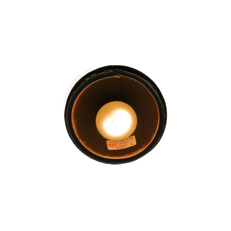 Lone Bear Mini Globe Lantern Pendant in Timeless Bronze