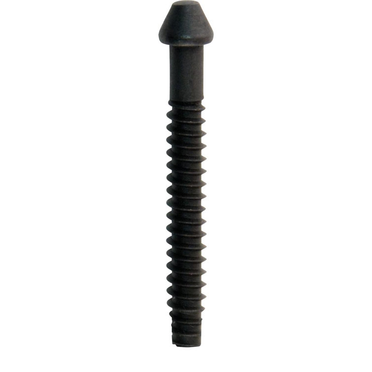 14-Piece Black Stainless Steel Phillips Head Screws