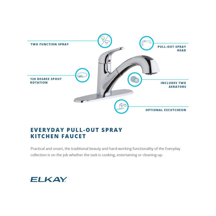 Lustrous Steel Single Handle Kitchen Faucet with Pull-out Spray