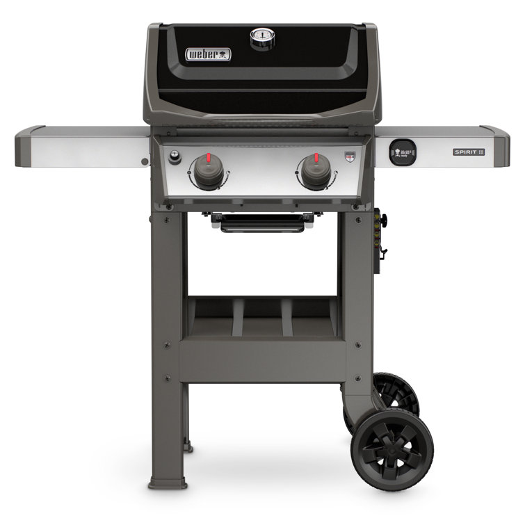 Black 2-Burner Liquid Propane Grill with Porcelain Coated Cast Iron Grates