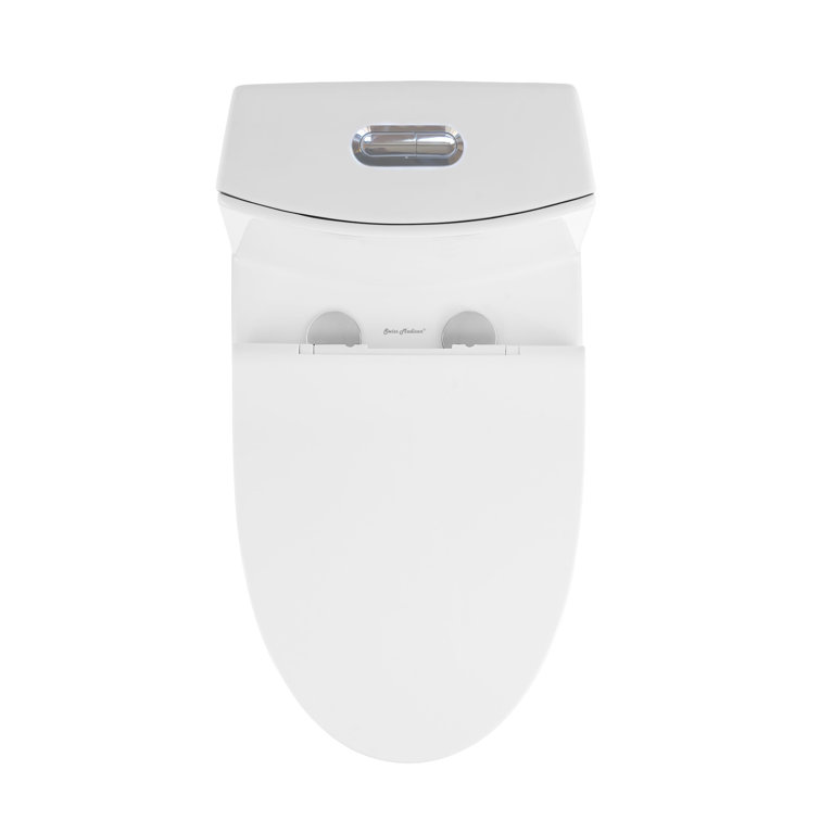 Glossy White Elongated One-Piece Toilet with Dual Flush
