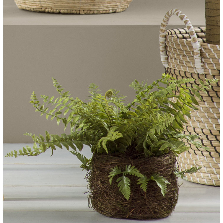 Rustic Green Artificial Fern Plant in Natural Pot