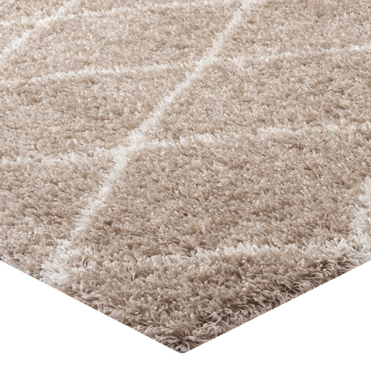 Toryn Dark Gray and Ivory Diamond Trellis Shag Area Rug