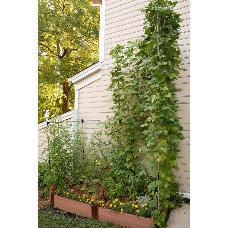 48'' x 48'' Stainless Steel Raised Garden Bed Trellis Kit