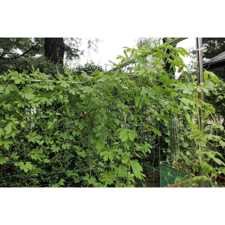 48'' x 48'' Stainless Steel Raised Garden Bed Trellis Kit