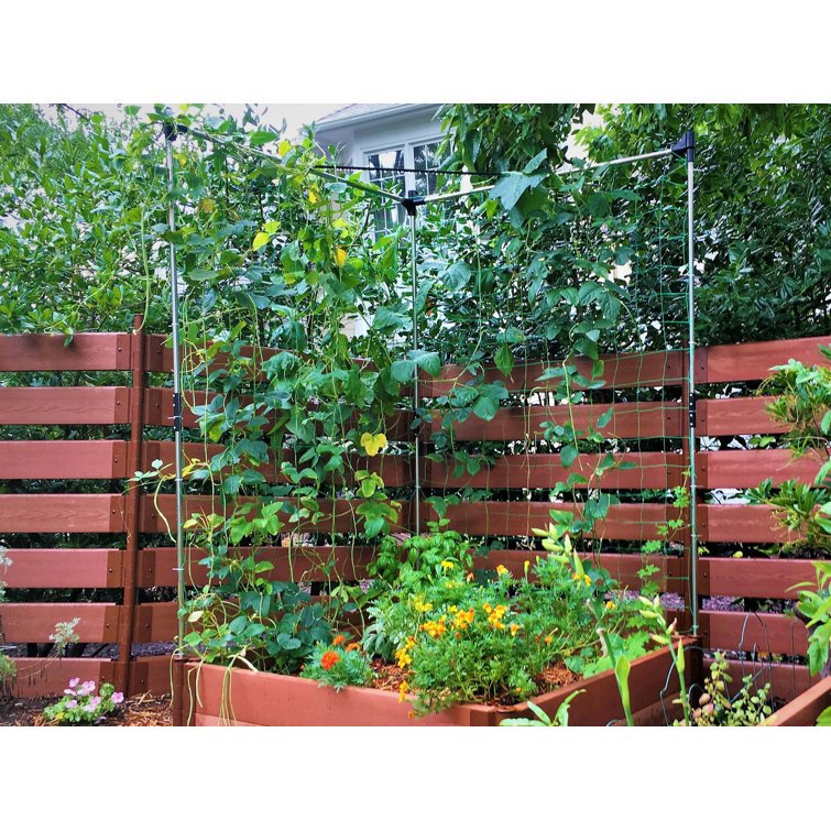 48'' x 48'' Stainless Steel Raised Garden Bed Trellis Kit