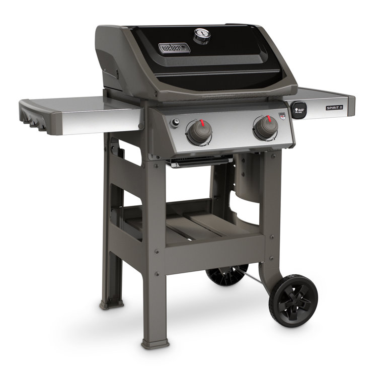 Black 2-Burner Liquid Propane Grill with Porcelain Coated Cast Iron Grates