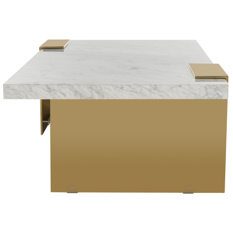 Mycha Luxurious White Marble and Brass Rectangular Coffee Table with Storage