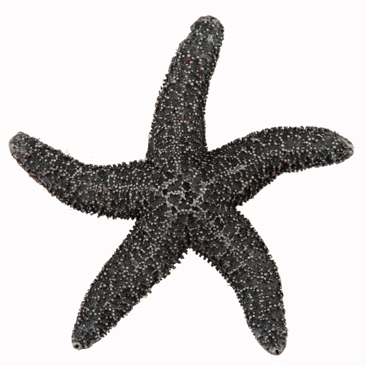 Antique Pewter Starfish Cabinet Knob with Mounting Hardware