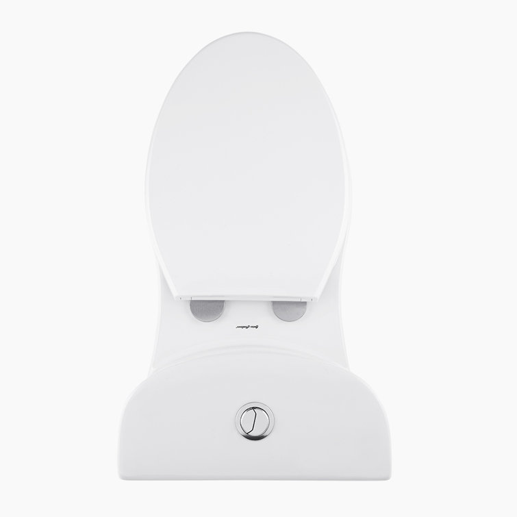 Sublime Matte Black Ceramic One-Piece Elongated Toilet