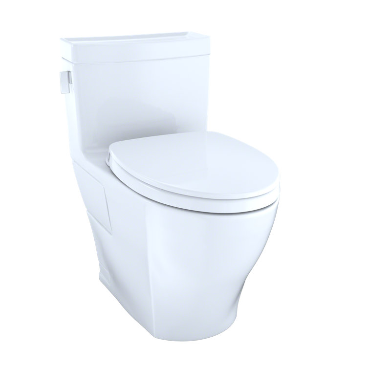 Bone Vitreous China Elongated One-Piece Toilet with Washlet Combo