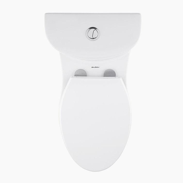 Sublime Matte Black Ceramic One-Piece Elongated Toilet