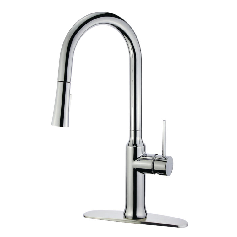 Polished Chrome Single-Handle Pull-Down Kitchen Faucet with Spray
