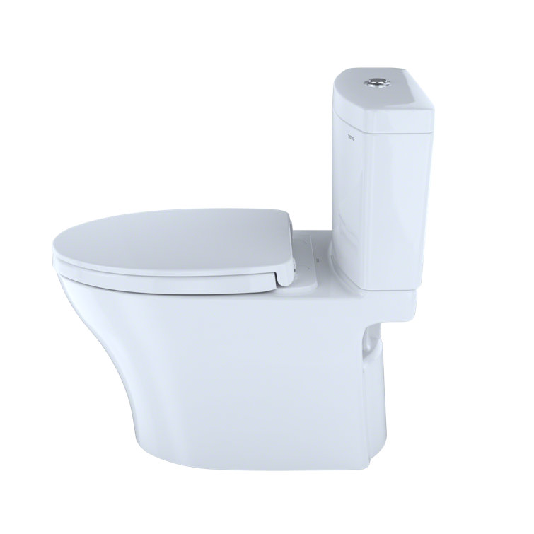 Bone Vitreous China Dual Flush Elongated Two-Piece Toilet
