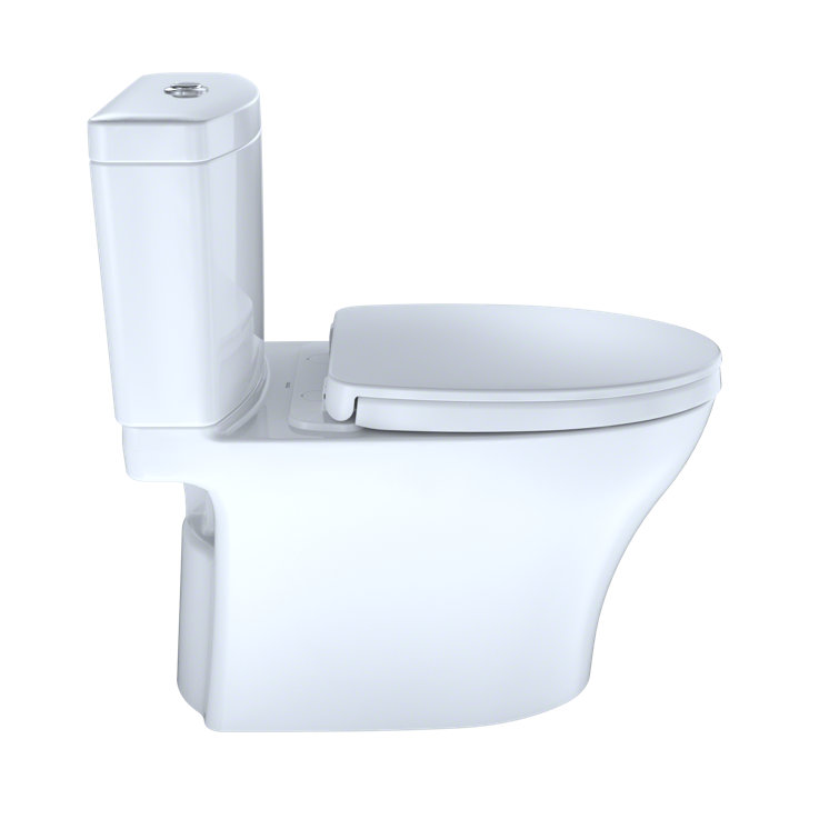 Bone Vitreous China Dual Flush Elongated Two-Piece Toilet