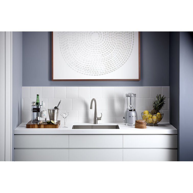 Vibrant Stainless Steel High-Arch Single-Handle Bar Faucet