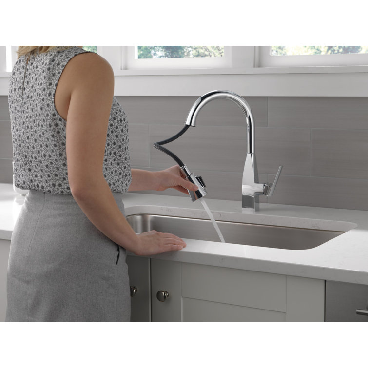 Xander Polished Chrome Single Handle Pull-Down Kitchen Faucet