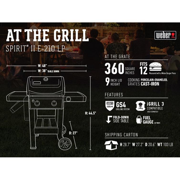 Black 2-Burner Liquid Propane Grill with Porcelain Coated Cast Iron Grates