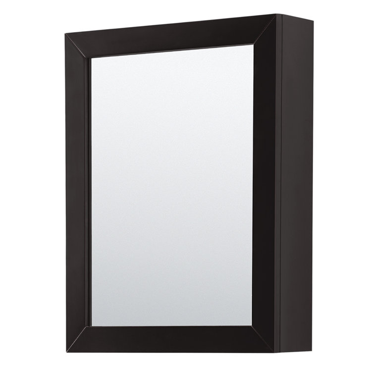 Daria Dark Espresso Single Bathroom Vanity with Medicine Cabinet