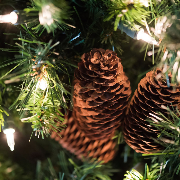 Galarza Artificial Country Pine Wreath