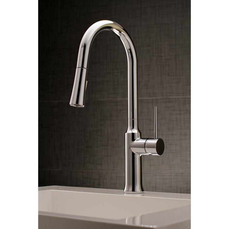 Polished Chrome Single-Handle Pull-Down Kitchen Faucet with Spray
