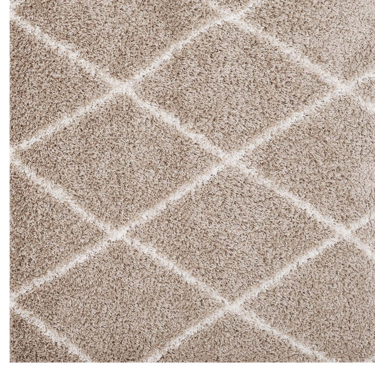 Toryn Dark Gray and Ivory Diamond Trellis Shag Area Rug