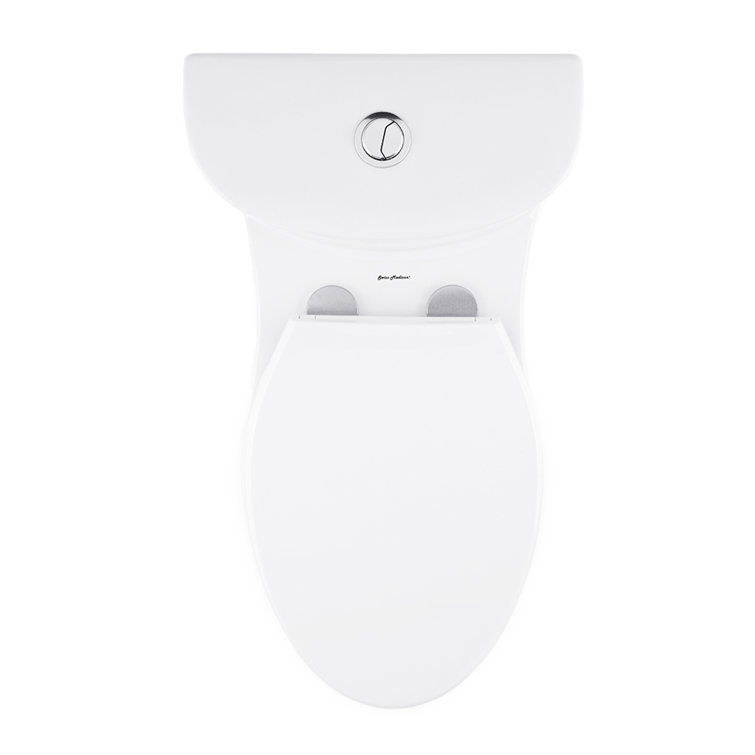 Sublime Matte Black Ceramic One-Piece Elongated Toilet