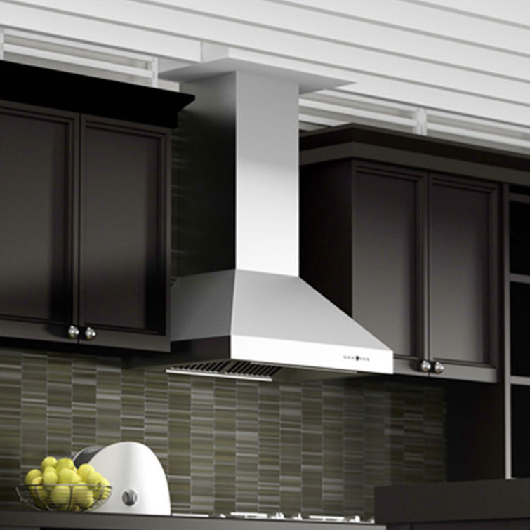 42-inch Stainless Steel Wall Mounted Range Hood with Charcoal Filter