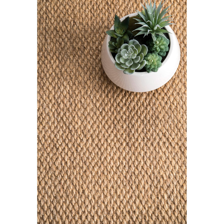Sand Handmade Sisal and Jute 6' x 9' Area Rug