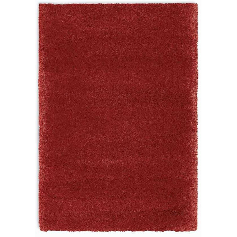Burgundy 4' x 6' Solid Shag Synthetic Area Rug