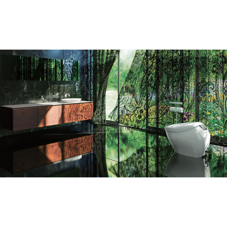White Ceramic Dual Flush Elongated Bidet Toilet