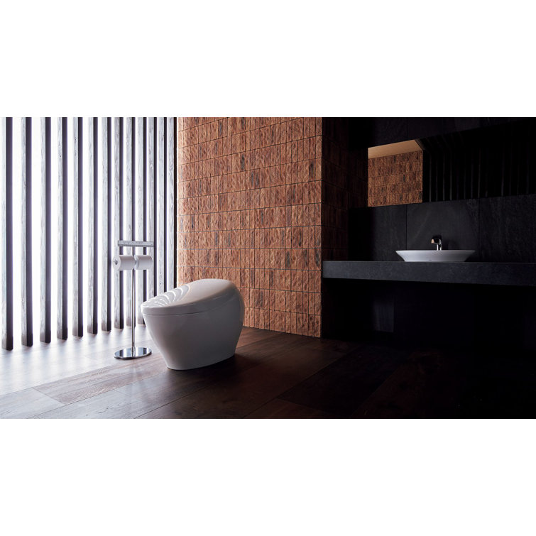 White Ceramic Dual Flush Elongated Bidet Toilet