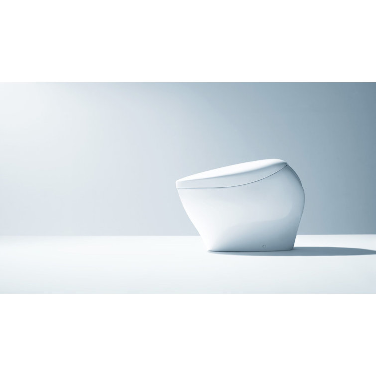White Ceramic Dual Flush Elongated Bidet Toilet