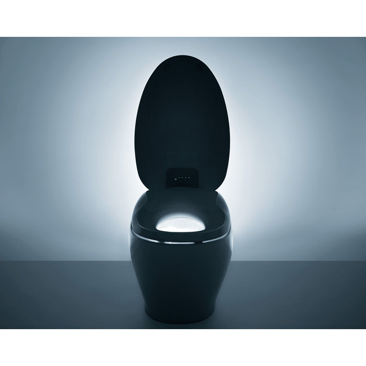 White Ceramic Dual Flush Elongated Bidet Toilet