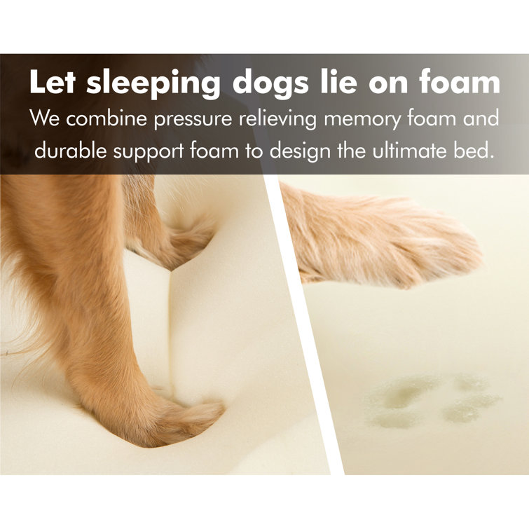 Large Khaki Orthopedic Memory Foam Dog Bed with Bolster