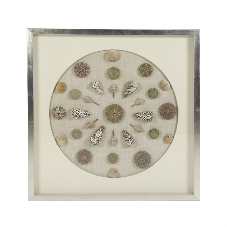Silver Framed Abstract Shell Wall Art Decor