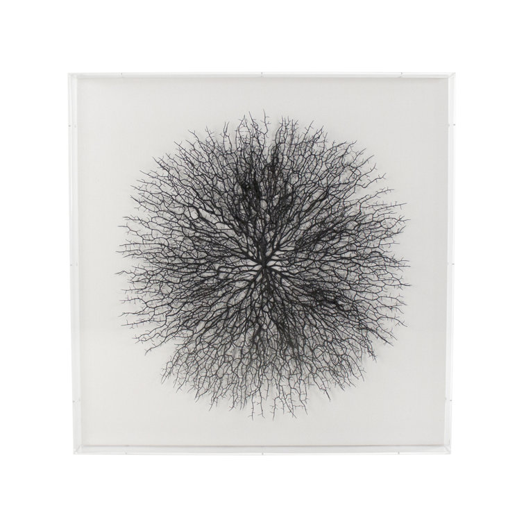 Black Branches Abstract Art in Acrylic Frame