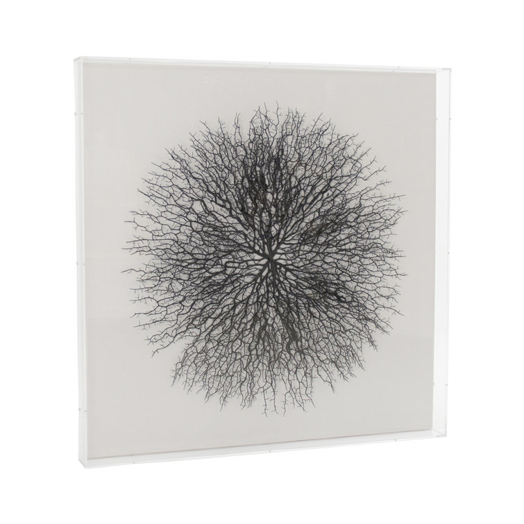 Black Branches Abstract Art in Acrylic Frame